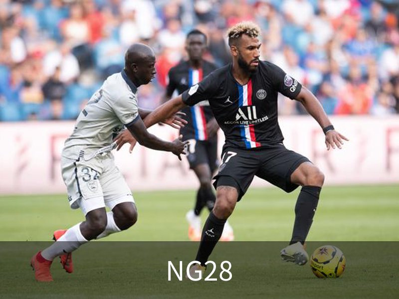 NG28概况